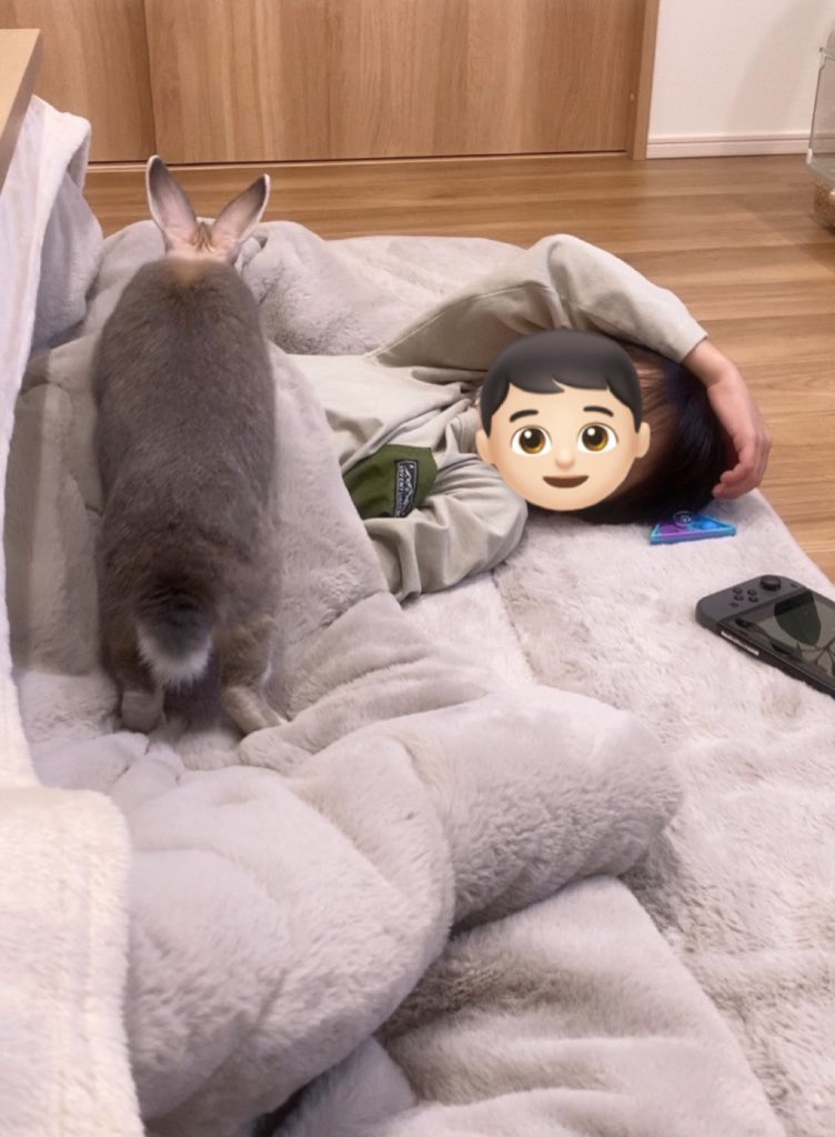 2minimamu2's tweet photo. 「Switchばっかりやってないでボクと遊んでよ～～」
このあといっぱい遊んでもらえたちく🐰でした🫶 https://t.co/bTOLyGlBPV