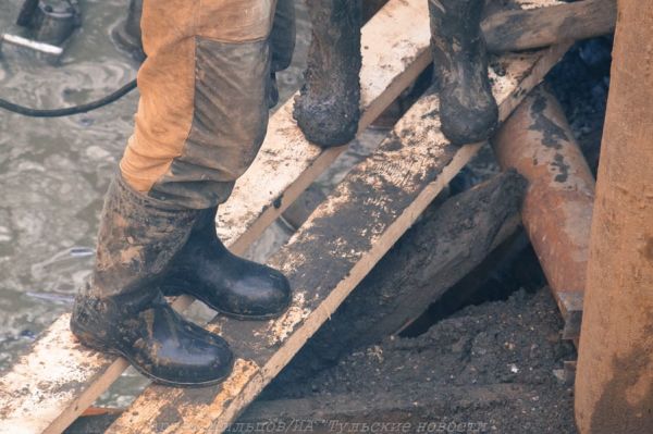 Тульские новости tweet media