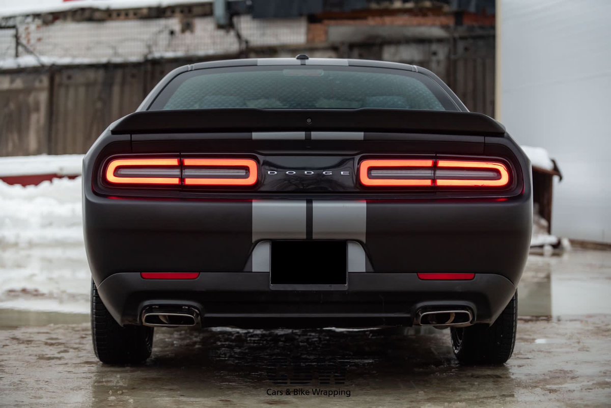 BuildersMeta's tweet photo. The development team gave the whale a Dodge Challenger car ⚡️

Do you want the same? Join and become a whale: https://t.co/T4uj08VYqj https://t.co/ckAdMNact0