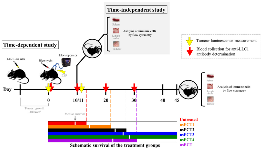 CS9VLzp6LyZeSdv's tweet photo. 📢Share with you a 🆕#Article

🧐"High-Frequency Nanosecond Bleomycin #Electrochemotherapy and its Effects on Changes in the Immune System and Survival", by Austėja Balevičiūtė, et al.👏👏

 👉https://t.co/nZkR0JkODR #mdpicancers via @Cancers_MDPI https://t.co/qGq9AWSbCl