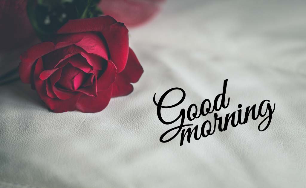 जिंदगी में सबसे बड़ा धनवान वो,
इंसान होता है जो दूसरों को अपनी,
मुस्कुराहट देकर उनका दिल जीत लेता है!!!
#morning #morningvibes #life #lifeisgood