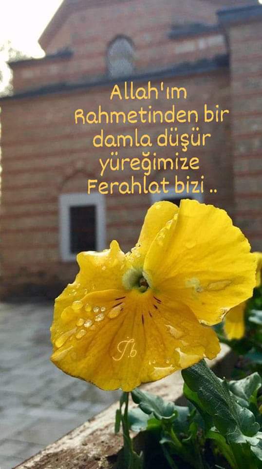 damlasukaya06's tweet photo. ____🤲🌹
Öğrendim ki, #Sahâbi birbirine seslenirken, cümle başına ;
"Allah #Hayr'ını arttırsın!" şeklinde bir #Dua ekliyormuş.
"#Allahc.c
Yeni doğan her günle Hayr'ımızı #bereketimizi artırsın!" İnşaallah
O zaman...
🌹
Yeni güne
#Bismillahirrahmanirrahim
#HayırlıSabahlar https://t.co/9ytYUHhvOf