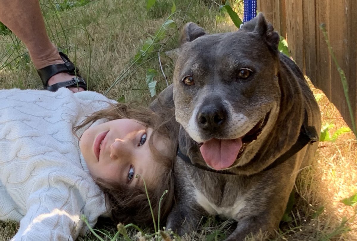abulsme's tweet photo. Goodnight Miley

We welcomed Miley into our family in 2015. A few hours ago we had to say goodbye. She was a good dog.

More here: 

https://t.co/EIwjT4xtS4 https://t.co/RHgz5c4rbr
