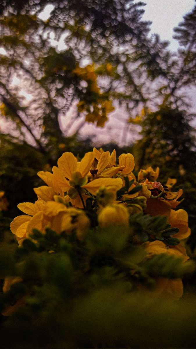 avknash's tweet photo. @PandeyAshishh 
#macro #nature #macrophotography #naturephotography #photography #flowers #insects #perfection #naturelovers #photooftheday #captures #macrophoto #macroworld #canon #wildlife #photo #love  #world #bhfyp #instagood #beautiful #of #macros #flowerphotography #garden https://t.co/uOtNWxz2iV