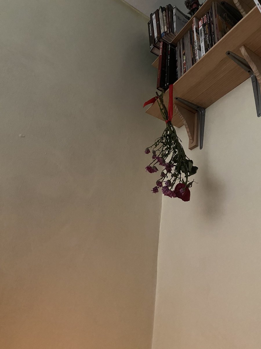 ☆✨Crybb✨☆🌙🌱🌌 tweet media