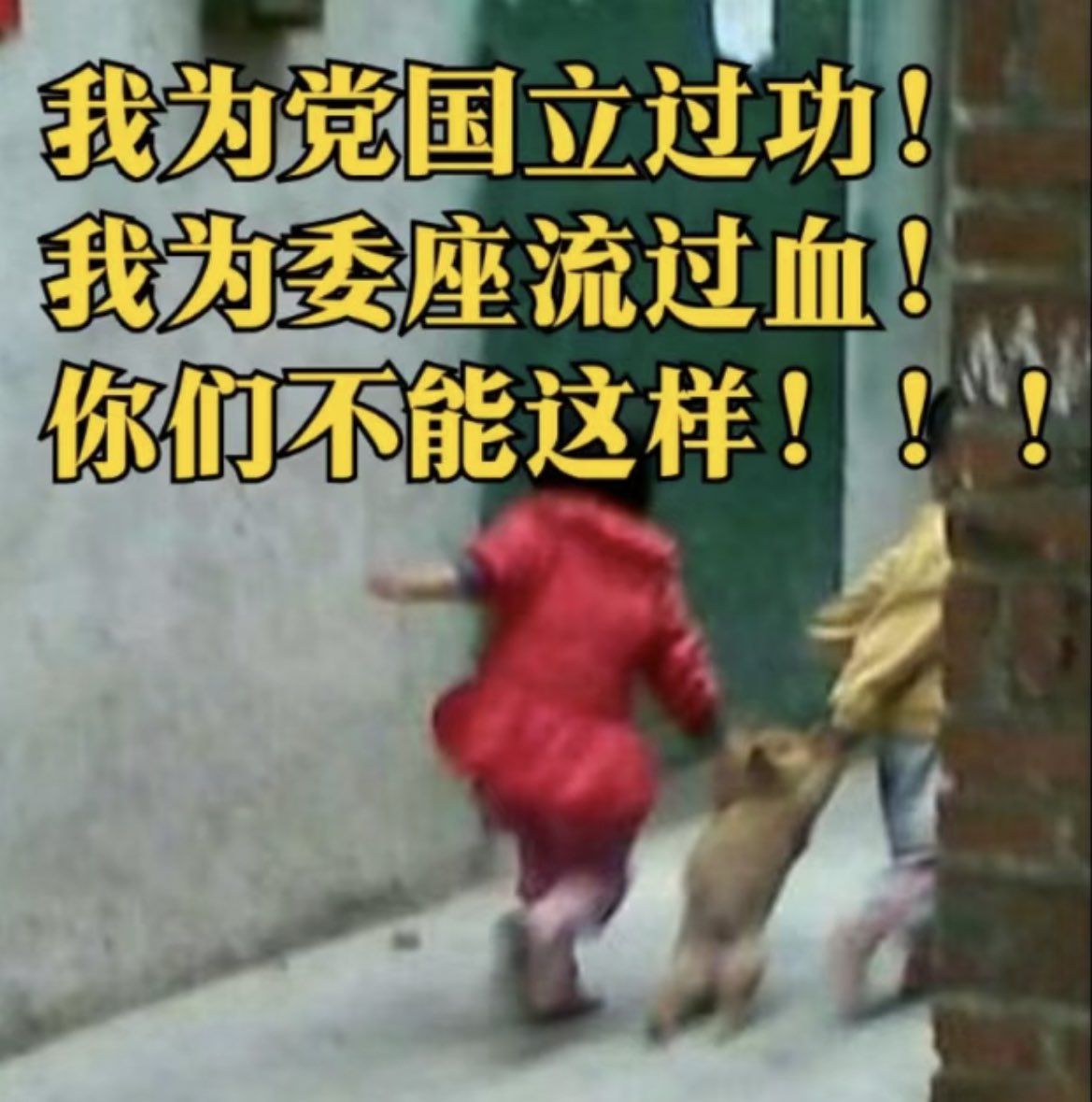 你们不能这样对我
谴责谴责
墙裂谴责 https://t.co/ph8XQFIzet