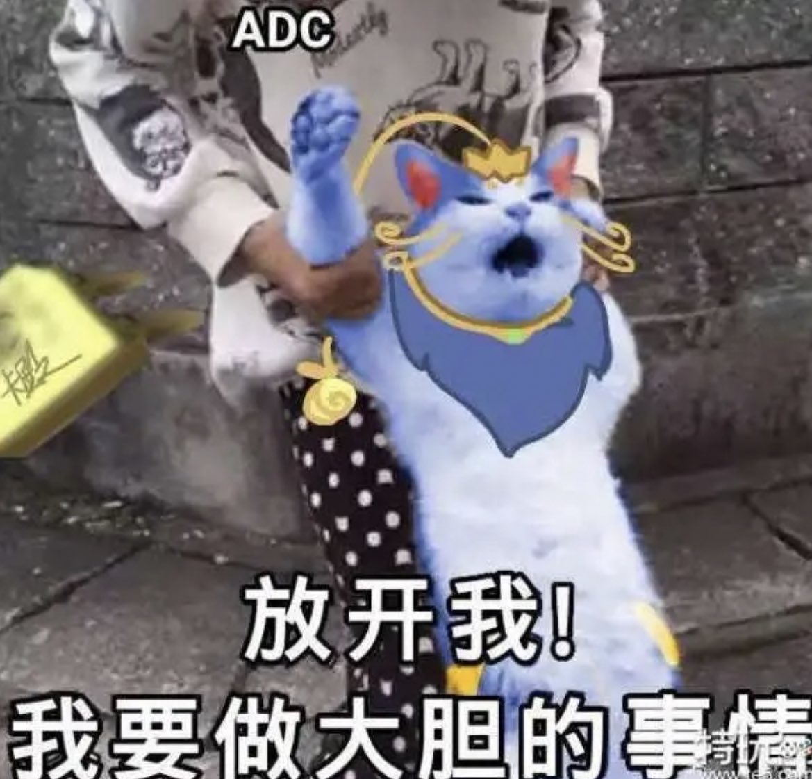 你们不能这样对我
谴责谴责
墙裂谴责 https://t.co/ph8XQFIzet