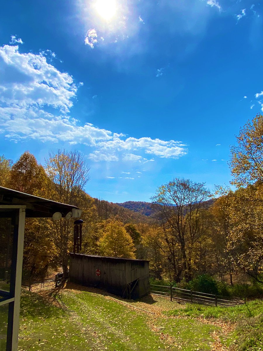 TealSeptember's tweet photo. Fall / Autumn days in the mountains of #NorthCarolina . At the Cabin. #HorseCreek #AsheCountyNC #Autumn #Fall #mountains #mountain #Leafs #leaf #nature #outdoors #carolinablueskies #mountainviews #naturesbeauty #Carolina #bluesky #leaves #cabinview #mountainlife #countrylife https://t.co/lUffjMrMIm