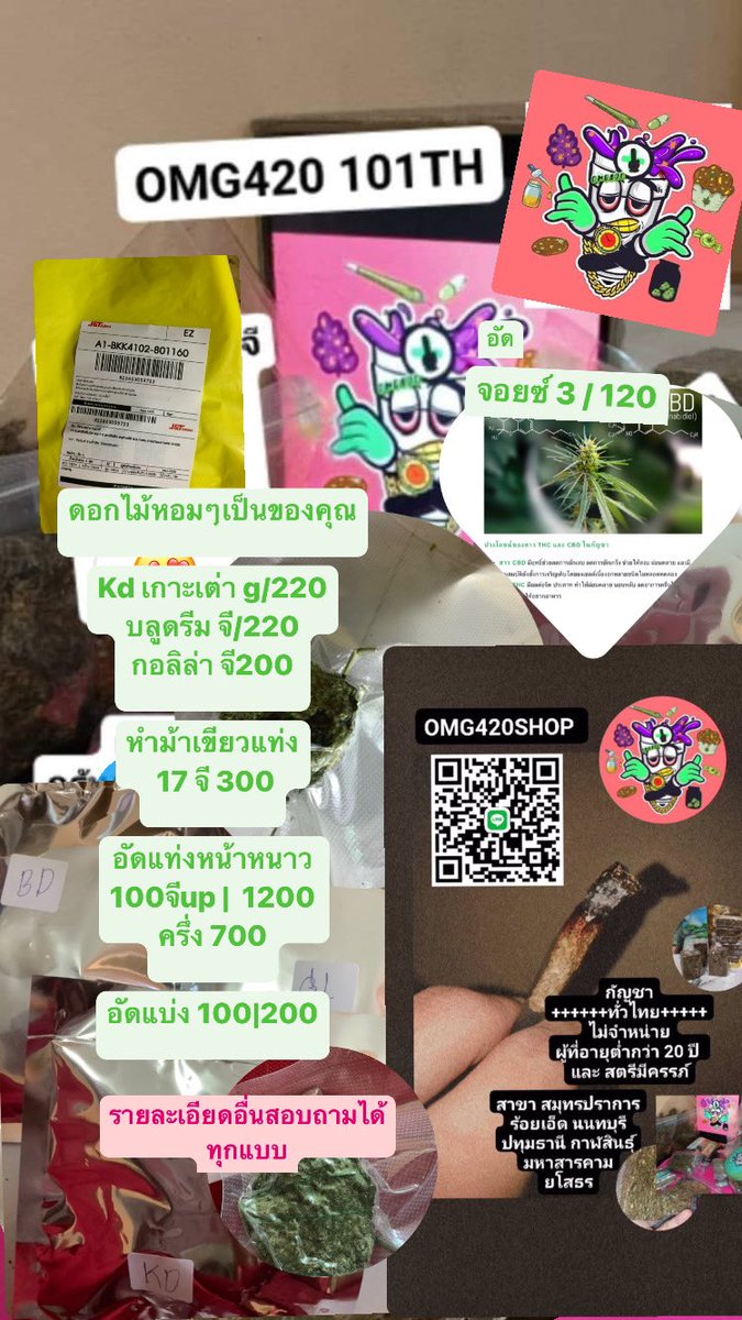OMG420TH's tweet photo. ดอกไม้เป็นของคุณ

Kd เกาะเต่า g/220
บลูดรีม จี/220
กอลิล่า จี200

หำม้าเขียวแท่ง
 17 จี 300
อัดแท่งหน้าหนาว 
100จีup |  1200
ครึ่ง 700
อัดแบ่ง 100|200
 Line : omg420shop
#ร้อยเอ็ด #ราชภัฏร้อยเอ็ด #เสลภูมิ #ร้อยเอ็ดในเมือง
#โอจีร้อยเอ็ด #กัญชาร้อยเอ็ด #มหาสารคาม #ยโสธร 
#กาฬสินธุ์ https://t.co/ZJkVJku18A