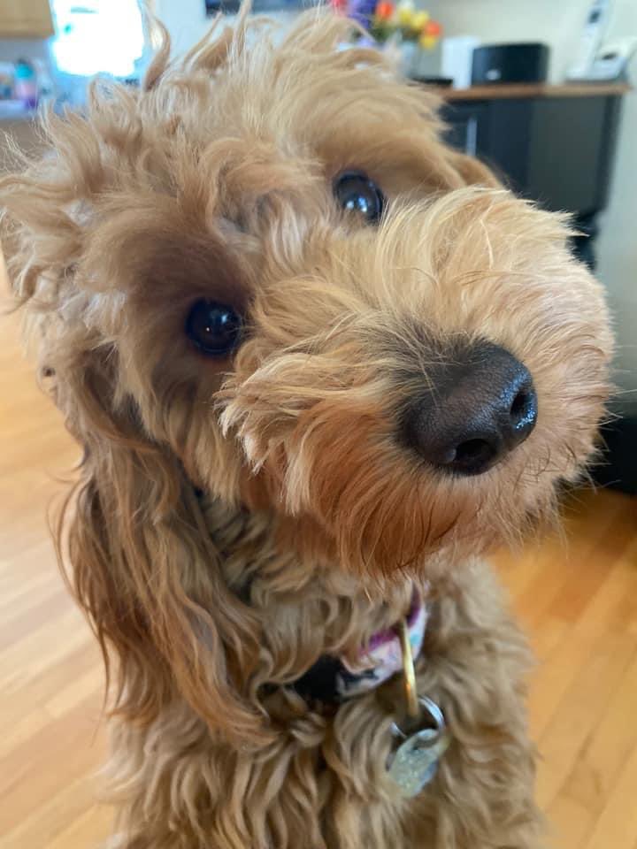 Whatchu want? Go outside? Beef burrito?