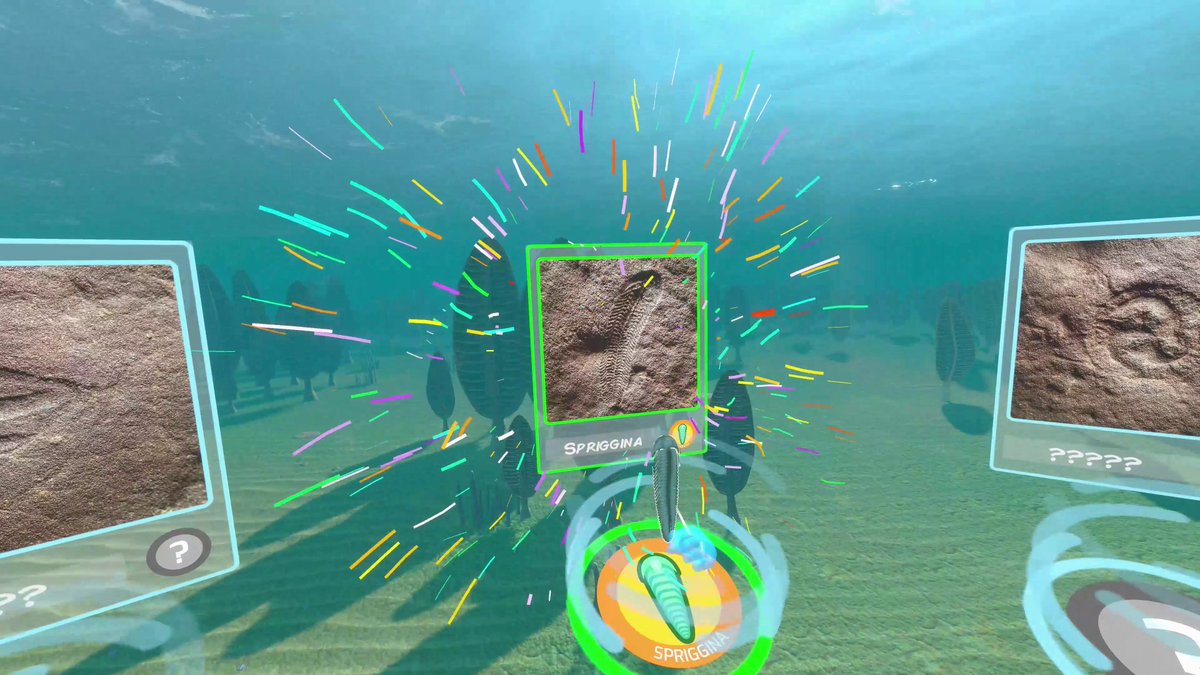 Tom Raimondo tweet media