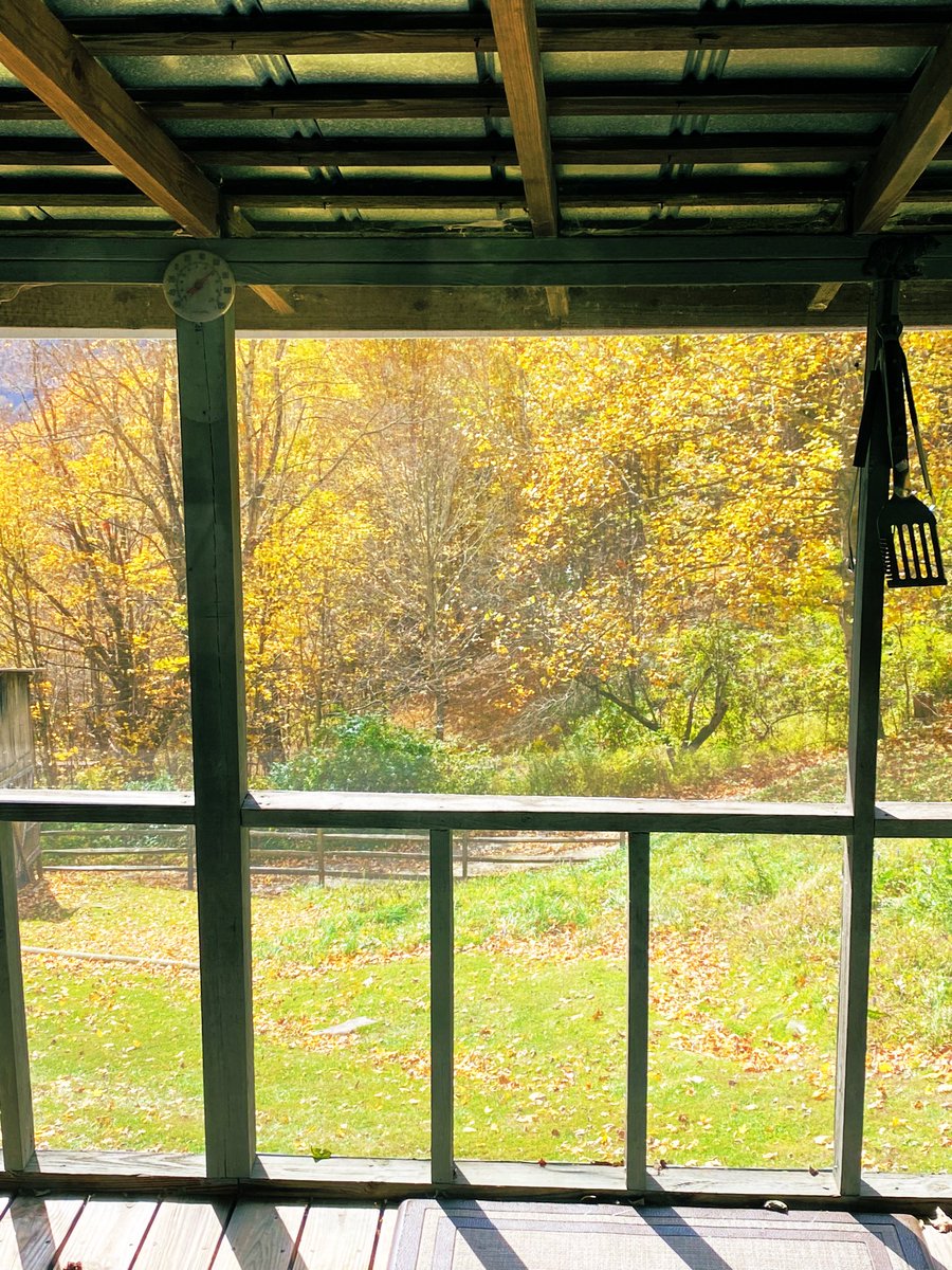 TealSeptember's tweet photo. Fall / Autumn days in the mountains of #NorthCarolina . At the Cabin. #HorseCreek #AsheCountyNC #Autumn #Fall #mountains #mountain #Leafs #leaf #nature #outdoors #carolinablueskies #mountainviews #naturesbeauty #Carolina #bluesky #leaves #cabinview #mountainlife #countrylife https://t.co/UVjM4L7U1J