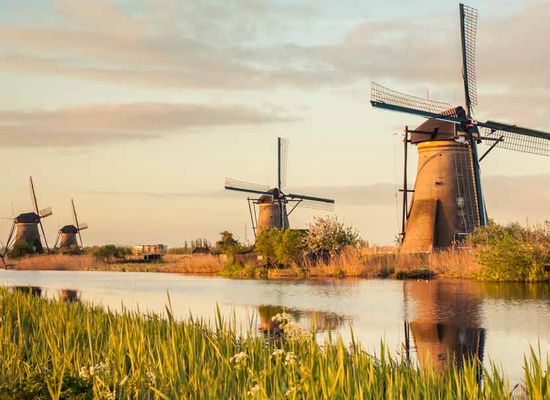 Maakt jouw waterschap werk van #biodiversiteit? Met dit raamwerk krijg je een overzicht van indicatoren waarmee toestand en trend van biodiversiteit en de inzet voor het herstel van de biodiversiteit in beeld kunnen worden gebracht. 
blog.hydrotheek.nl/2022/11/aamwer…