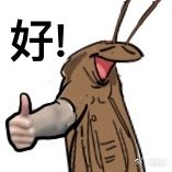 人鱼卜卜 tweet media