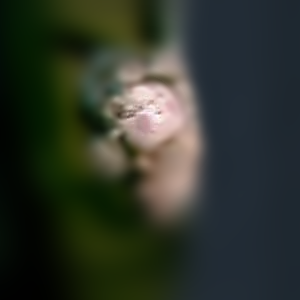 SarahCollinsSoC's tweet photo. @Barnabas_1795 What—" Catching a glimpse of the item in her brother's hand, her eyes bulged. "A doll!" (3/3) https://t.co/VUBEUc7JDo