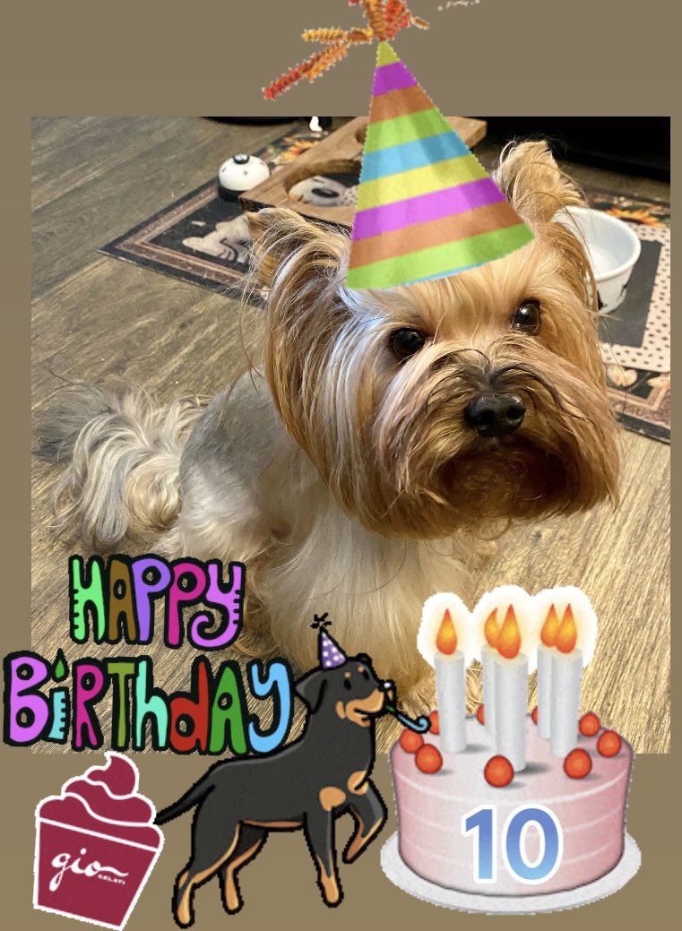 LuvJagger's tweet photo. @mayaj1973 🎂 🍨Happy Birthday Gio 🥓🥩 https://t.co/hJNNNsroDp