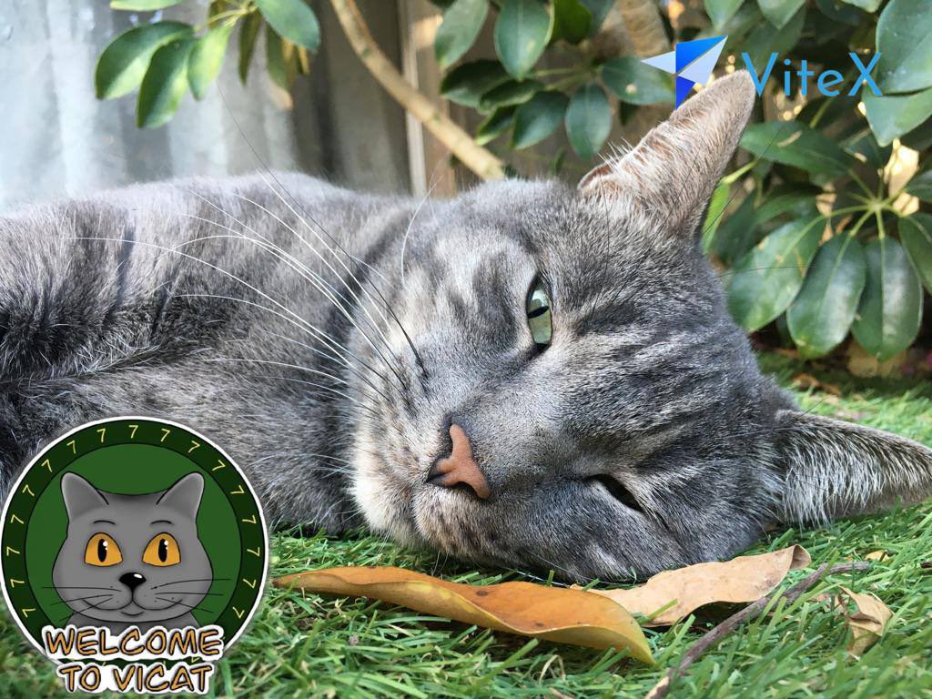 Erick Carreño 🏃🏻‍♂️ tweet media