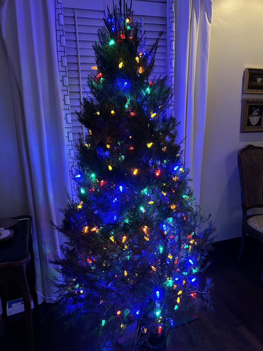 Progress on the tree—but now the discussion is on…will ornaments be too tempting for my daughter’s new cat…