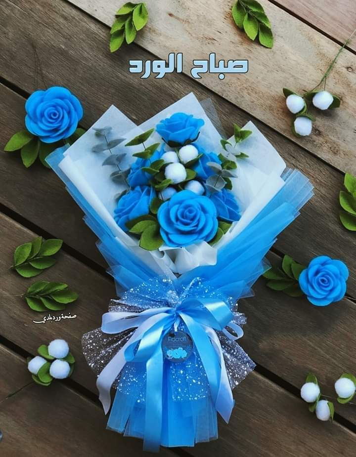 #loyal #AMY🅰️
<a href="/Alaayous3/">alaa amy</a>
@mne_oz
@n_5v0
<a href="/_HZTT/">عيون المها 🇮🇶</a>
<a href="/sarh0543/">الافضل للاشتراكات Full 4K</a>
<a href="/SeegerC8/">Angels & Arrows 🏹❤️‍🔥</a>
<a href="/Limajuni05/">Juni</a>
<a href="/8_karmila/">🐹Mona Elaina🐹 GOO 10K 🔥🔥</a>
<a href="/NessPolite/">Polite ness</a>
<a href="/Aa_ban1/">Gяїffїп'$ 🦅</a>
<a href="/lilmne/">احمد العثربي</a>
@HanaeEster
<a href="/bntalmghrb1/">🇲🇦Amola🇲🇦</a>
@Norelrhman3
<a href="/maralinda67/">Mara</a>
<a href="/JawadMghrby/">جواد مغربي❤️🇲🇦❤️</a>
<a href="/Haniabaloch16/">𝐇𝐚𝐧𝐢𝐚 𝐁𝐚𝐥𝐨𝐜𝐡</a>
@DeusaAthenna_
<a href="/AtamaSamurai/">Atama❤️memecoin</a> 
<a href="/Chaimae_Mesbahi/">Chaimae_Mesbahi🇲🇦👑</a>
<a href="/JamieMa59230716/">Jamie MacDonald</a>
<a href="/N9qyQKz8KsvGYuQ/">جيهان العامرية 🐦</a>