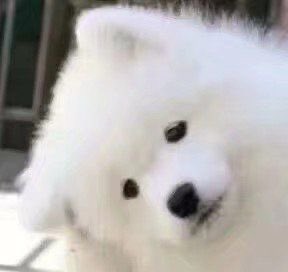 สงสัยไยม๋าเด้ก <a href="/lyrajenox/">ทอปกัย ตำรวจบ0ท</a>