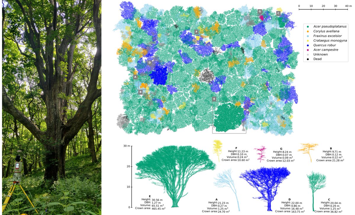 After more than five years of work: our new publication on how to almost double woodland carbon overnight; or, when models work a bit too well.

Full paper: bit.ly/3uXiG8D

[1/10]