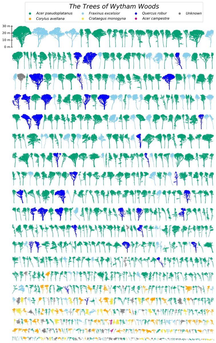 We present new empirical evidence that the fundamental assumption of tree size-to-mass scale-invariance is not well-justified for this kind of forest. This leads to substantial biases in current biomass estimates of broadleaf forests.

[4/10]