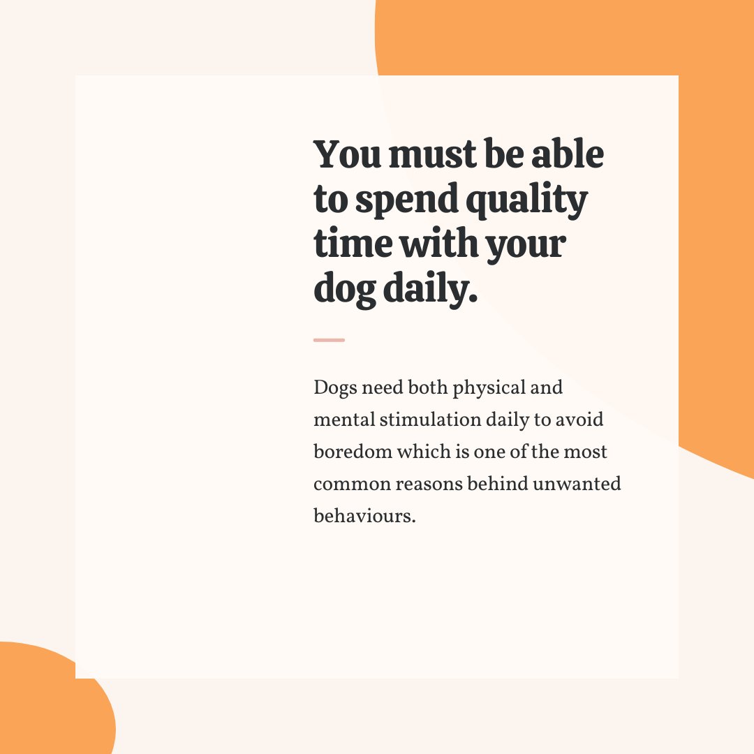 Dogtown_SA's tweet photo. Another #TipTuesday about getting a dog is to ask, do you have time for your dog? Dogs need both physical and mental stimulation daily to avoid boredom which is one of the most common reasons behind unwanted behaviours. You must be able to spend quality time with your dog daily. https://t.co/VcFDYvgQWS