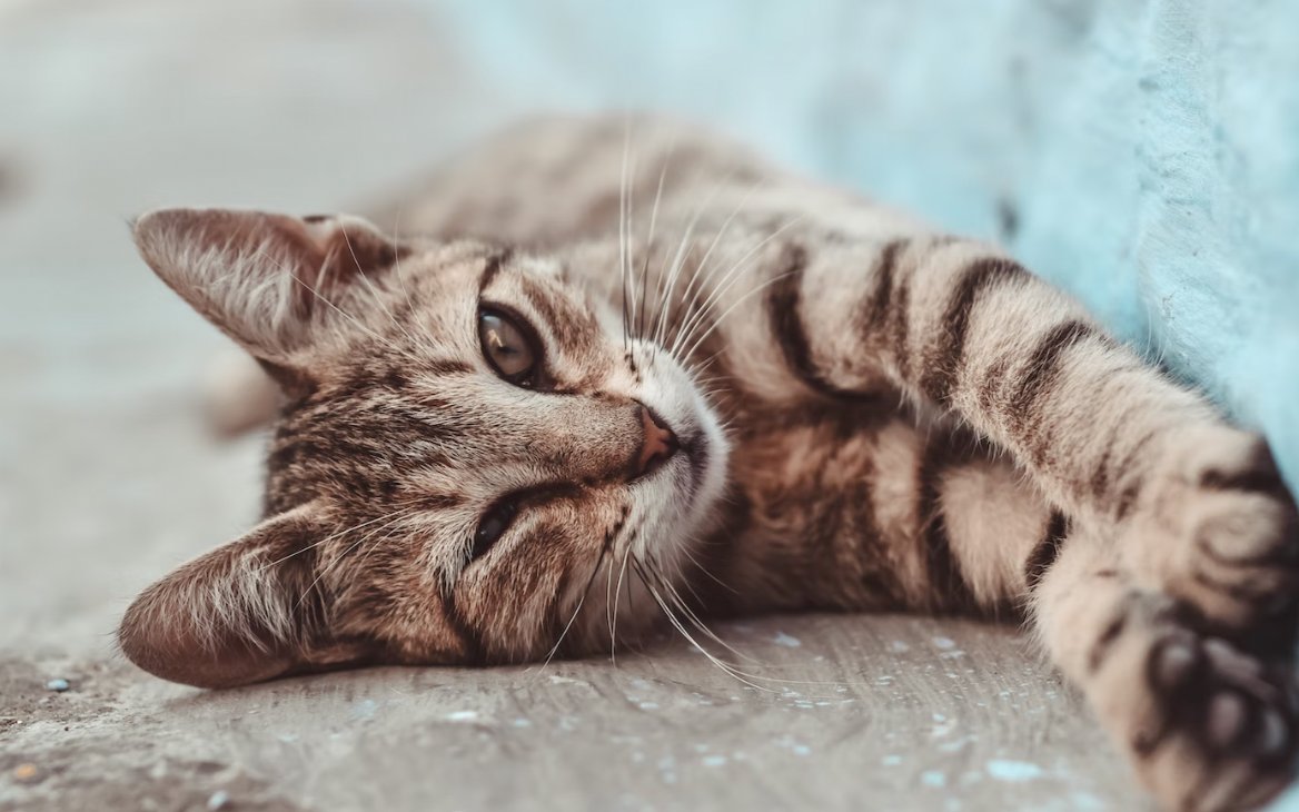 RelationsSingle's tweet image. "Good morning! It's a new day filled with endless possibilities and opportunities. Remember to take a moment to appreciate the beauty around you and be kind to yourself and others. Have a fantastic day!"