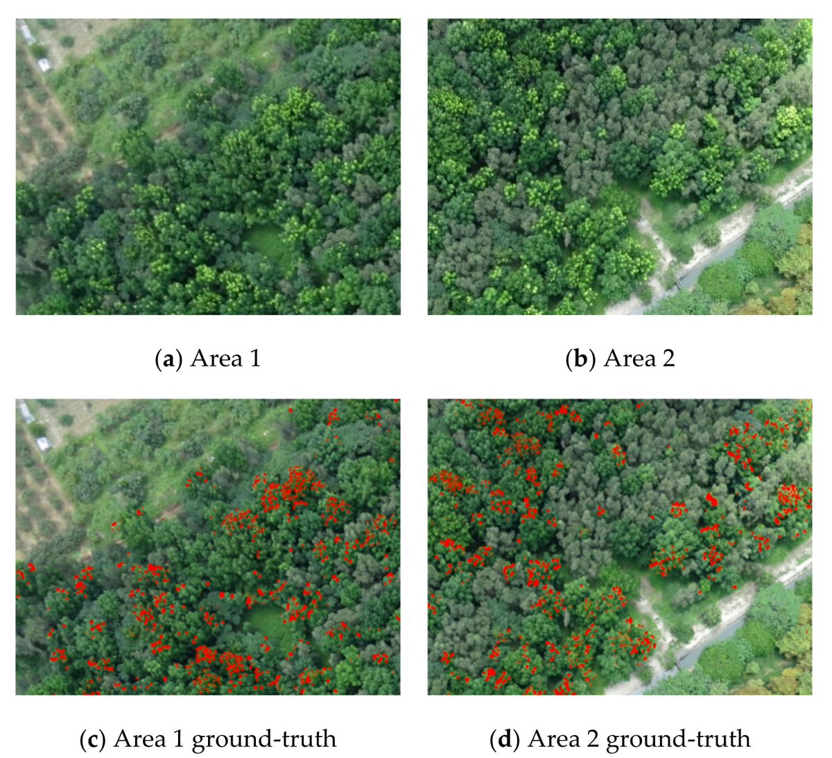Sensors_MDPI's tweet photo. #highlycitedpaper
Hybrid Deep Learning Models with Sparse Enhancement Technique for Detection of Newly Grown Tree Leaves
https://t.co/eFH3TrVfav
#deeplearning #semanticsegmentation #remotesensingimage https://t.co/HNUH11Rygr