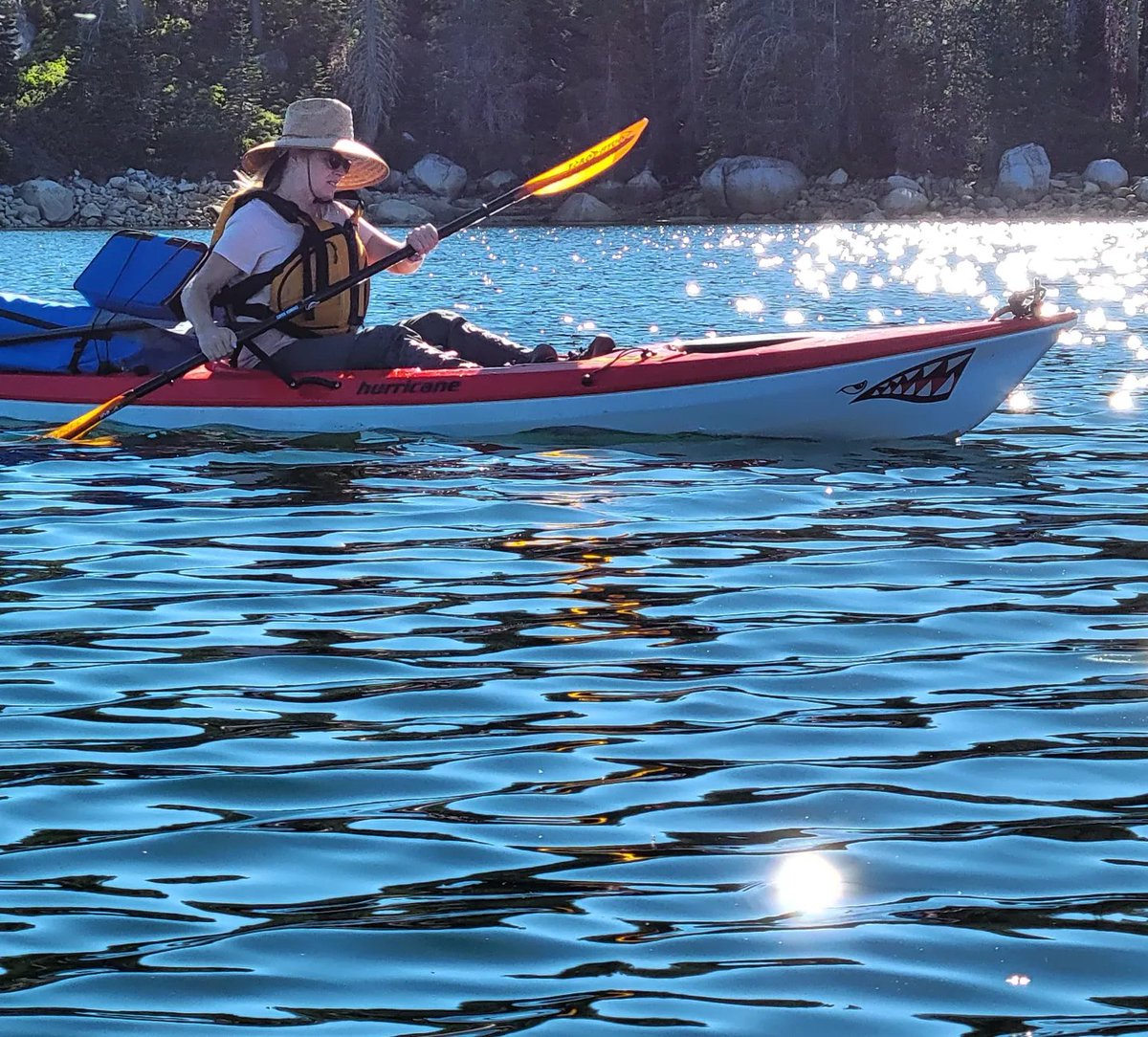 Nick Carlson tweet media