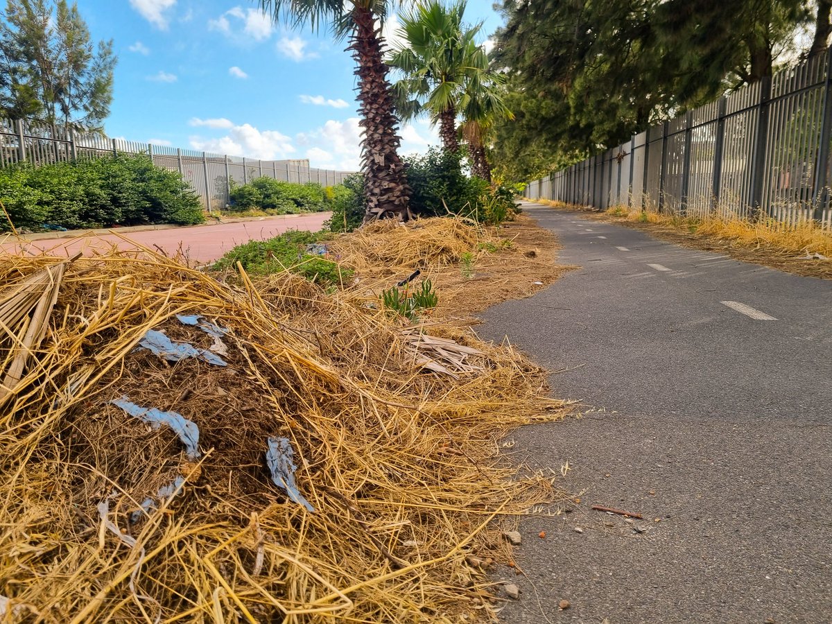 Johan Marais 🇿🇦 tweet media