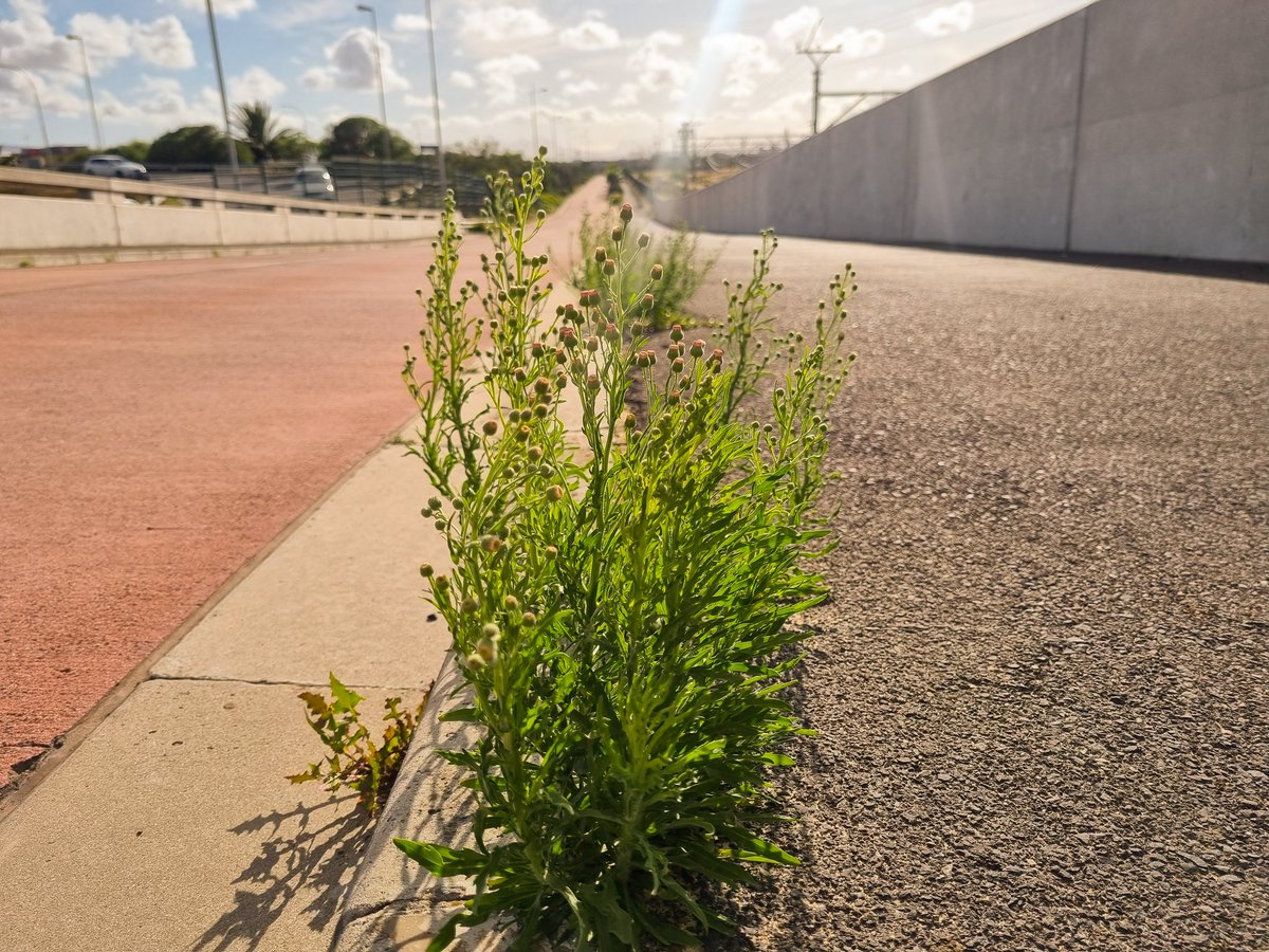 Johan Marais 🇿🇦 tweet media