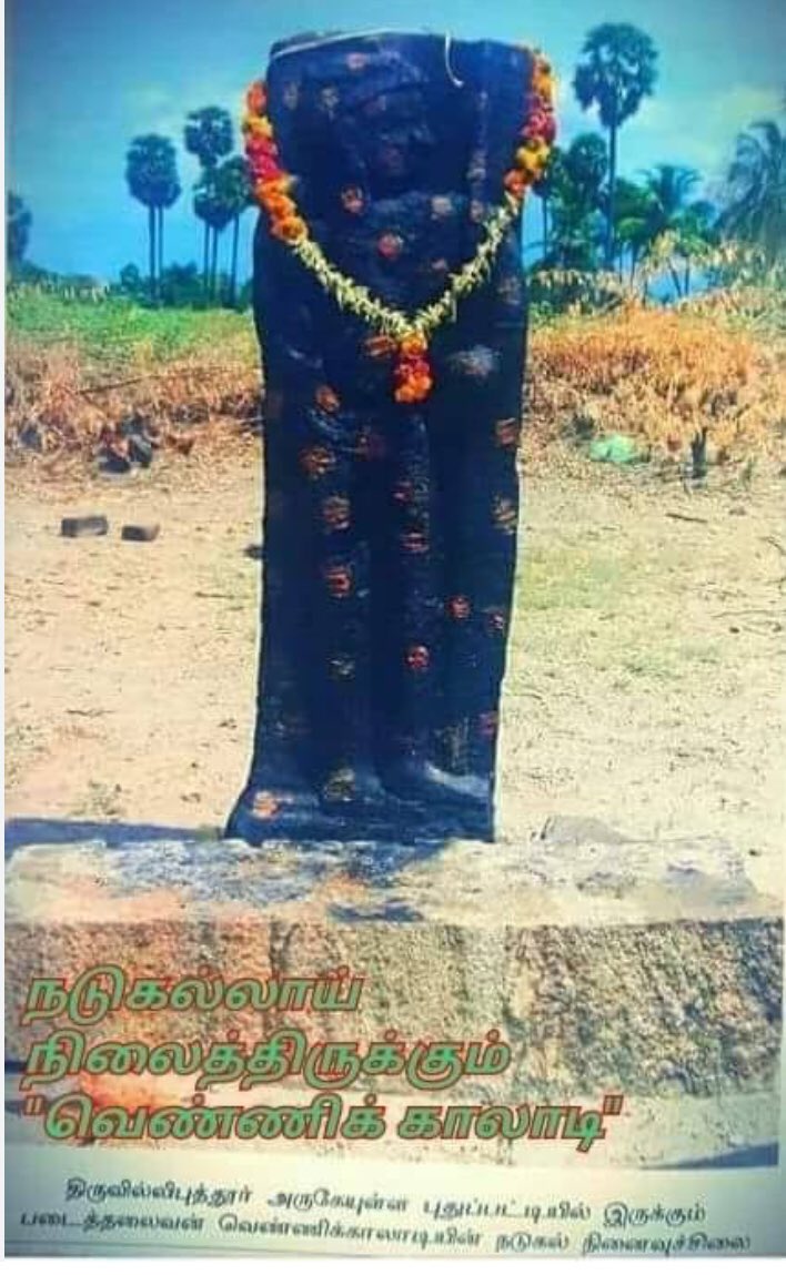 praveenkaladi's tweet photo. You can’t hide the history prolong.The only man who defeat Maruthanayakam alias Khan shakib in the battle who called Periya kaladi alias #தளபதி_வெண்ணிகாலாடி https://t.co/n17IieBMyI