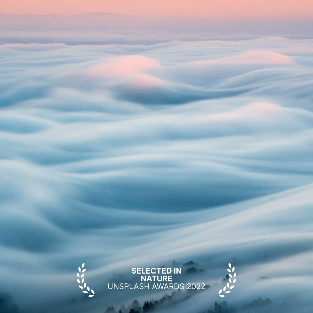 Unsplash tweet media