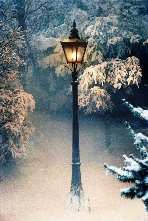 MugeFunny99's tweet photo. #Dream #DreamLantern
https://t.co/vqTV1FJ1Pn