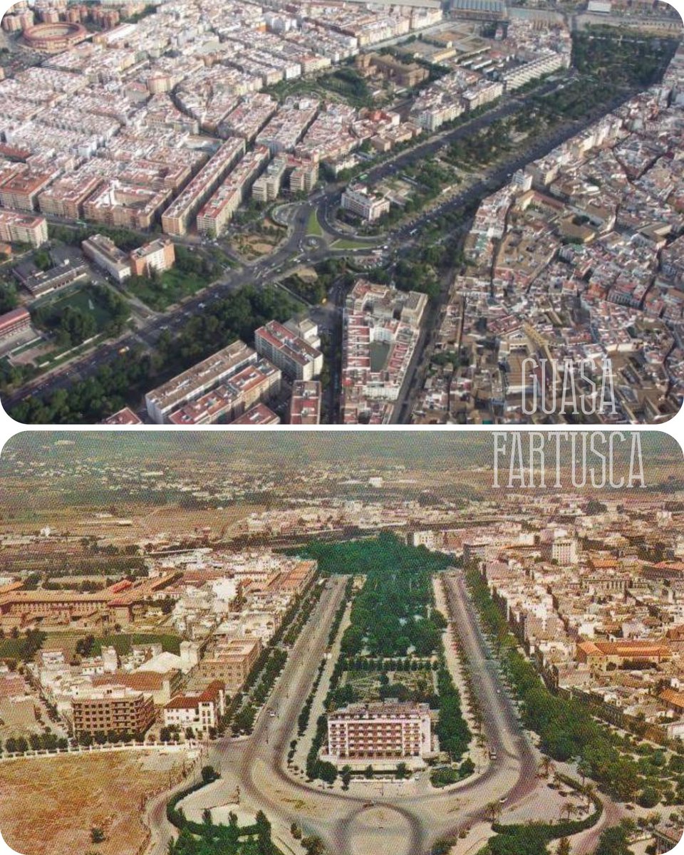 CordobaFartusca's tweet image. 🧐 A qué edad te enteraste que el paseo de la Victoria visto desde arriba es un catavinos?

#CórdobaEsp
