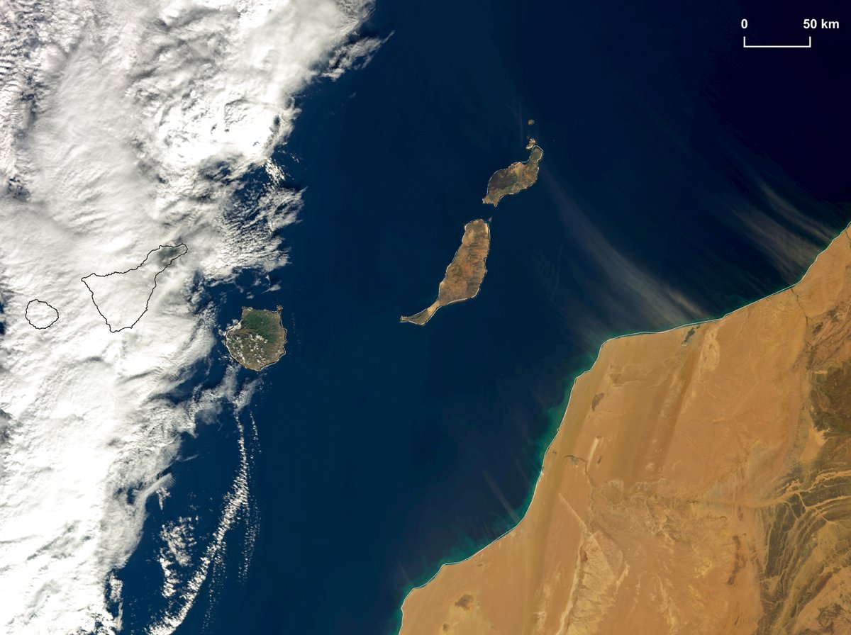 8IC - 8 islas Canarias tweet media