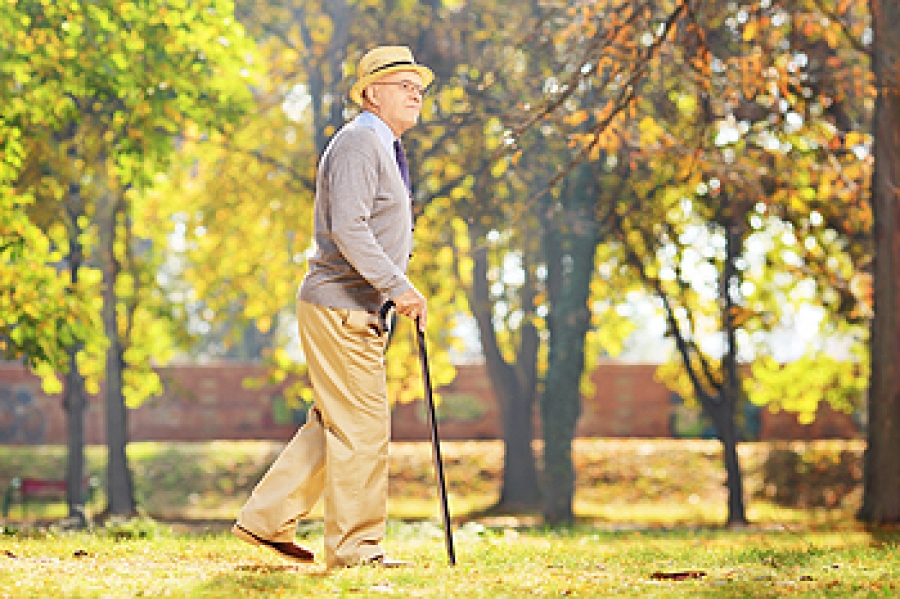 ChicagoSurgeons's tweet photo. Falling May Affect Confidence Levels of Seniors https://t.co/TLEVrOIZX3 https://t.co/1w0Ic3USCz