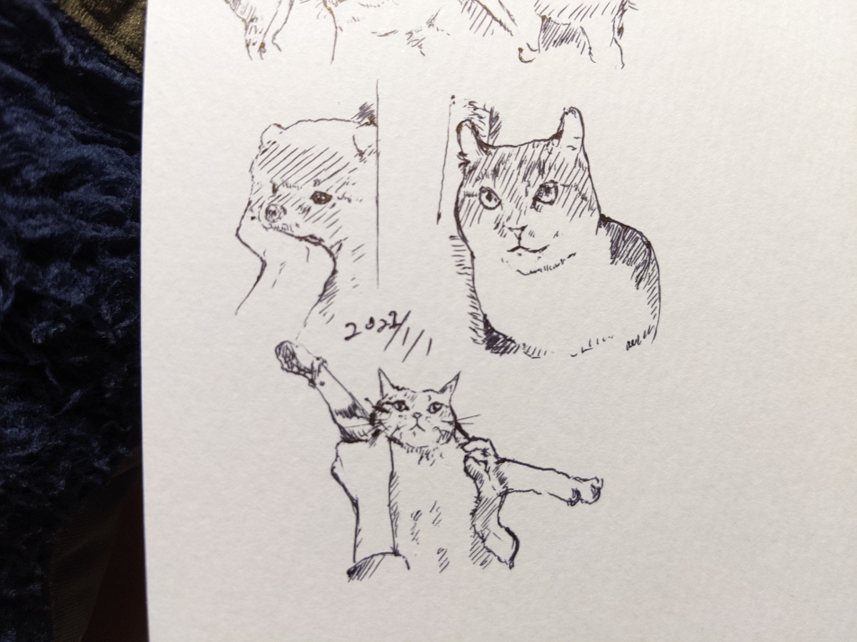 2022年 ねこ模写 +α #猫 #模写 https://t.co/3OwSj3UcOT 