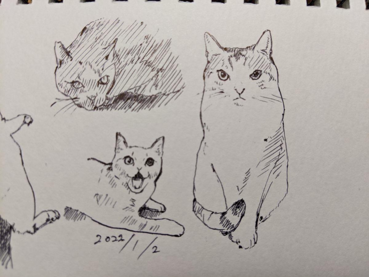 2022年 ねこ模写 +α #猫 #模写 https://t.co/3OwSj3UcOT 