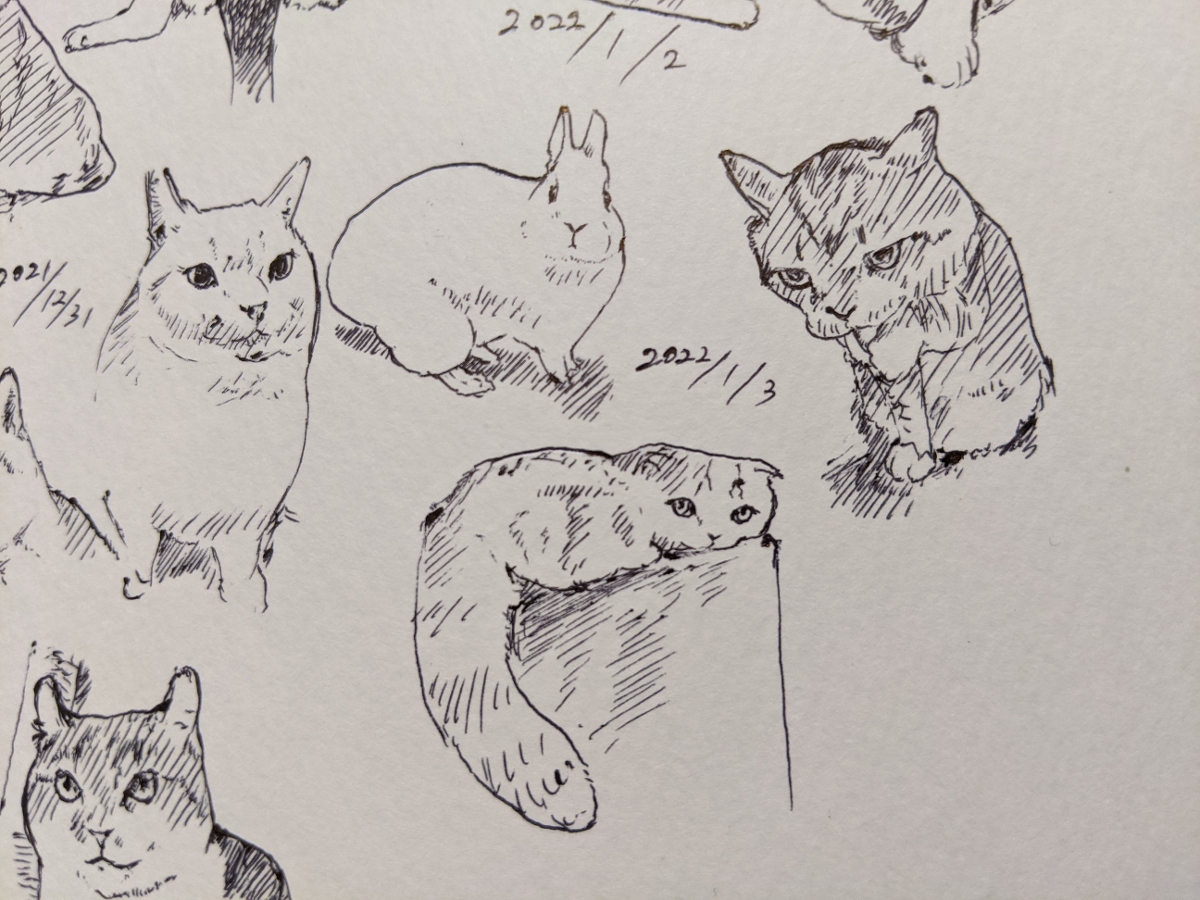 2022年 ねこ模写 +α #猫 #模写 https://t.co/3OwSj3UcOT 