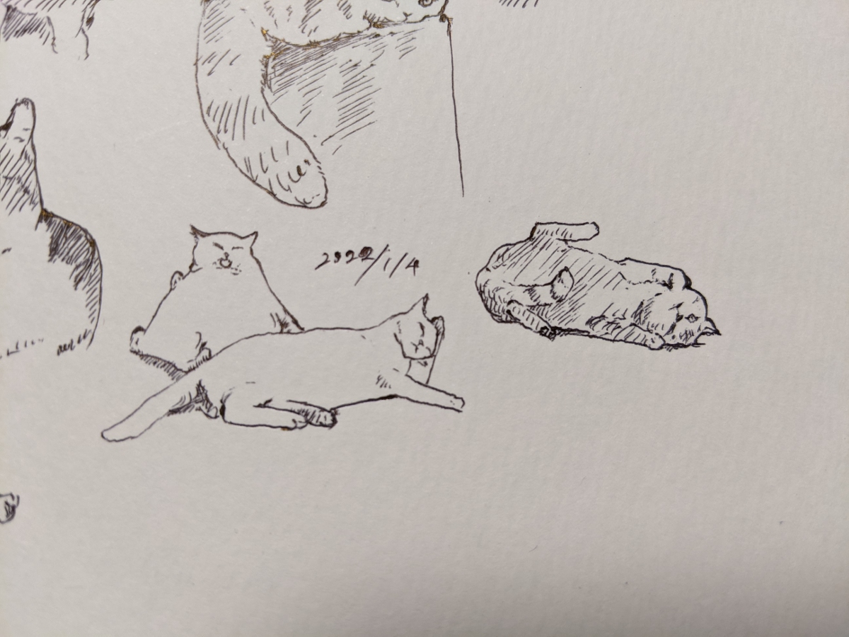 2022年 ねこ模写 +α #猫 #模写 https://t.co/3OwSj3UcOT 