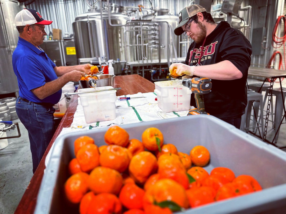 When life loads the satsuma trees up before a hard freeze, you get to squeeze!

Fresh ‘22 Satsuma Harvest yielding about 400 lbs of juicy goodness. This is gonna take a while!

#satsuma #freshfromflorida #fruitbeer #ihearttally #craftbeer
