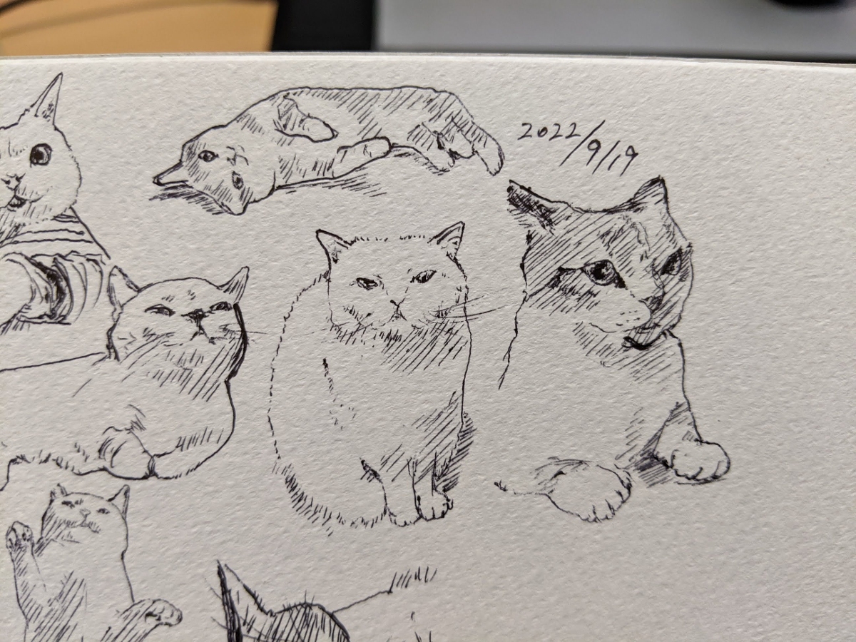 2022年 ねこ模写 +α #猫 #模写 https://t.co/ziVCCeGw47 