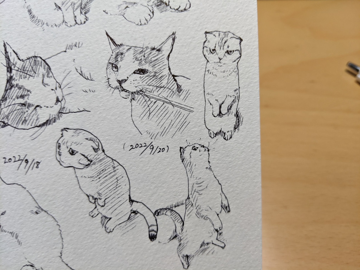 2022年 ねこ模写 +α #猫 #模写 https://t.co/ziVCCeGw47 