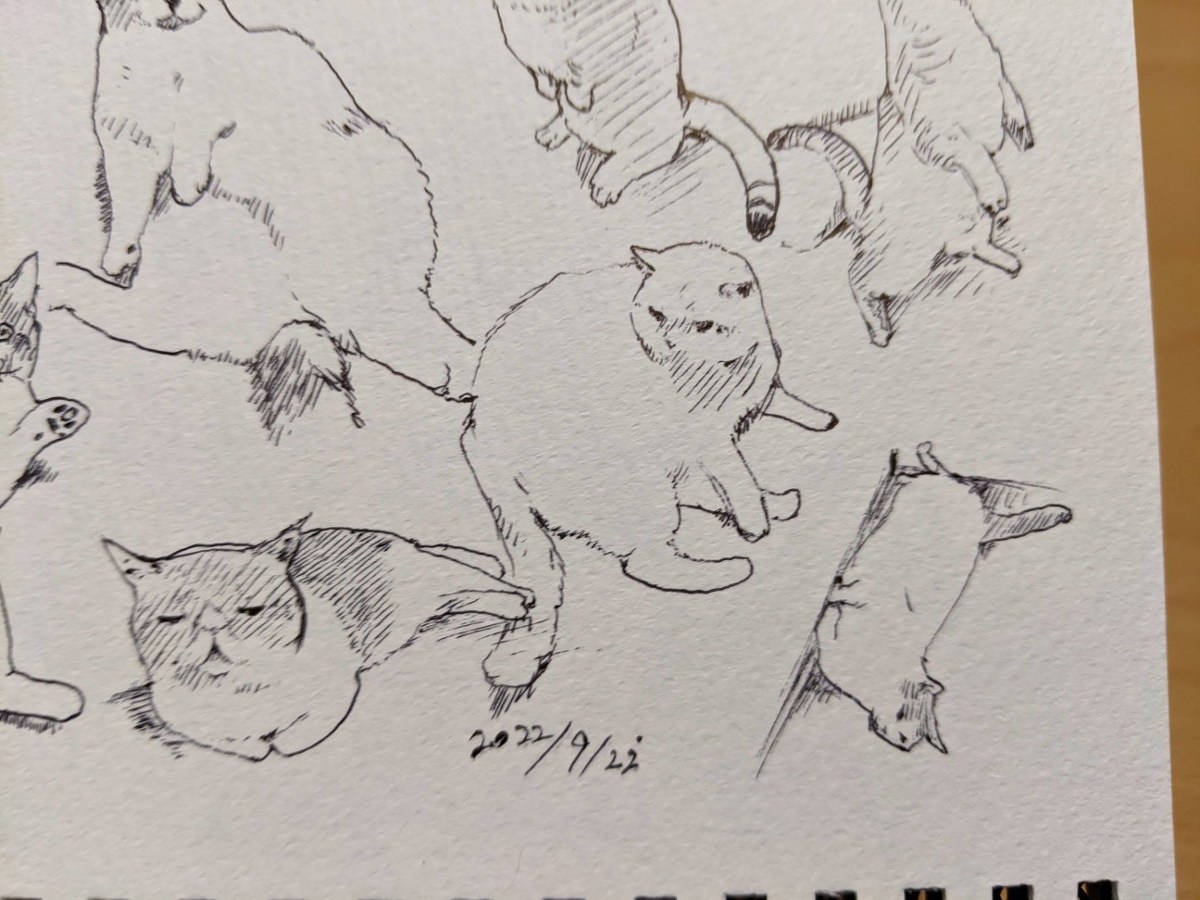 2022年 ねこ模写 +α #猫 #模写 https://t.co/ziVCCeGw47 