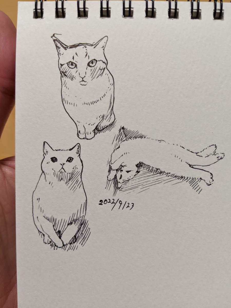 2022年 ねこ模写 +α #猫 #模写 https://t.co/ziVCCeGw47 