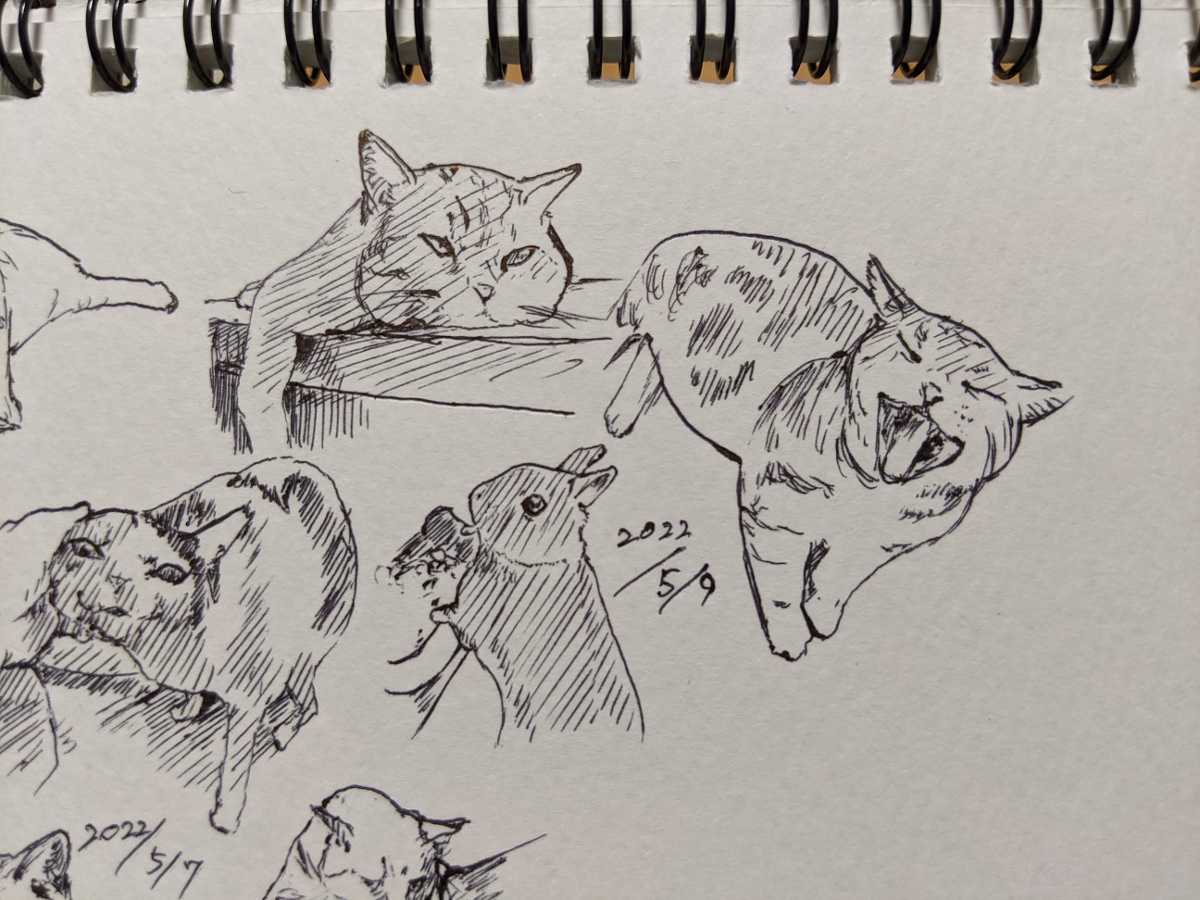 2022年 ねこ模写 +α #猫 #模写 https://t.co/Rc90vTTm9z 