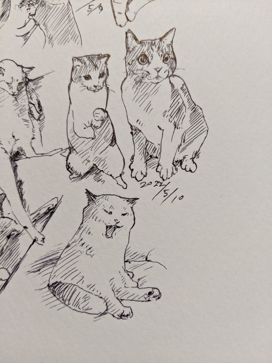 2022年 ねこ模写 +α #猫 #模写 https://t.co/Rc90vTTm9z 