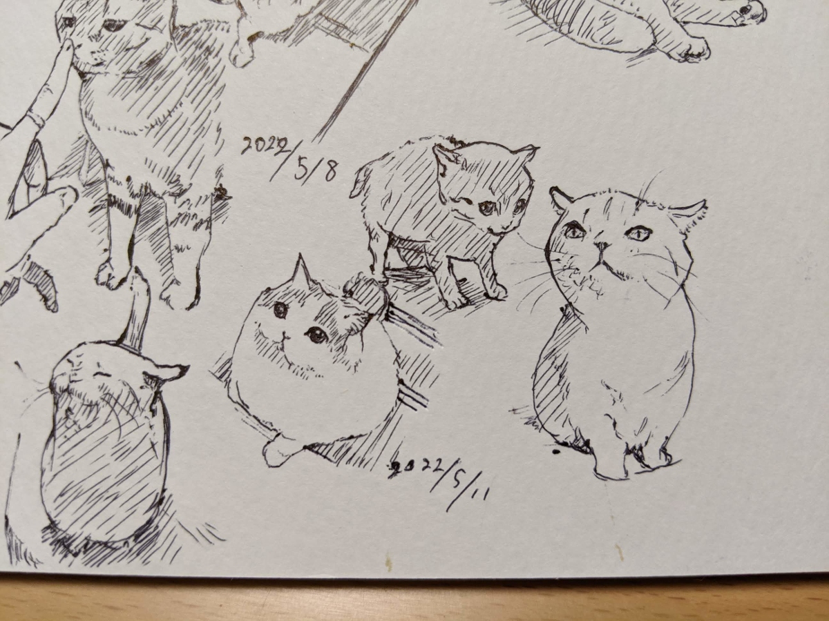 2022年 ねこ模写 +α #猫 #模写 https://t.co/Rc90vTTm9z 